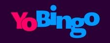yobingo bingo
